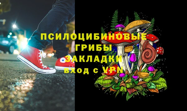 apvp Новозыбков