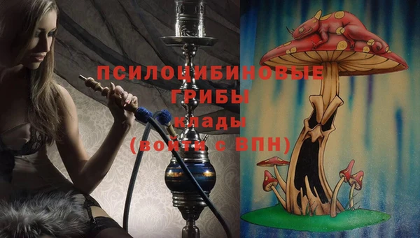 бошки Волгодонск