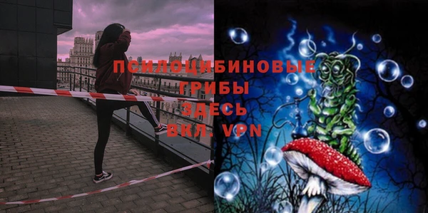 apvp Новозыбков