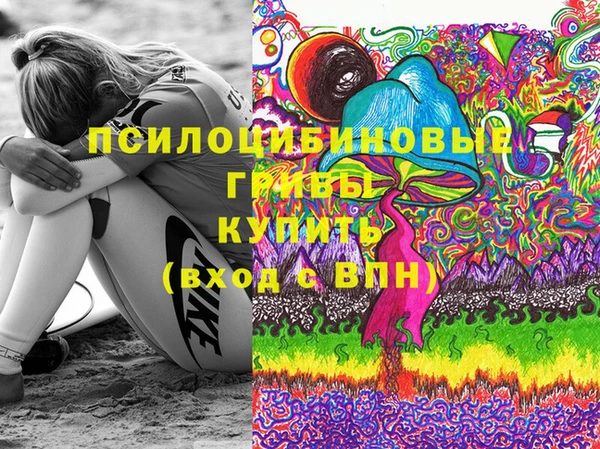 бошки Кострома