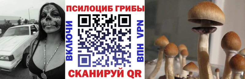 OMG рабочий сайт Полевской Псилоцибиновые грибы Cubensis