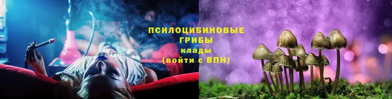 Галлюциногенные грибы Magic Shrooms Полевской