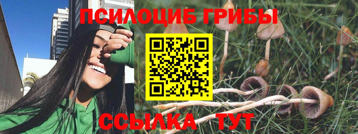Галлюциногенные грибы Magic Shrooms  Полевской  Псилоцибиновые грибы MAGIC MUSHROOMS 