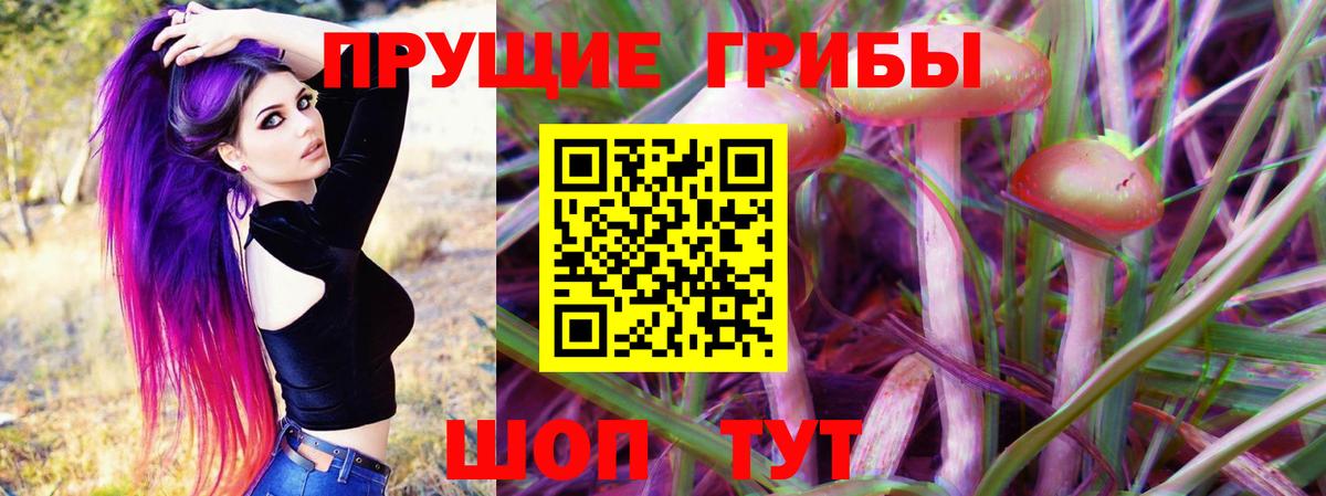 Псилоцибиновые грибы Magic Shrooms  где купить наркотик  Полевской  Вход с VPN 