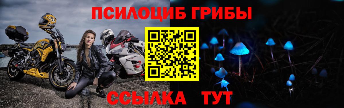 Галлюциногенные грибы ЛСД Полевской